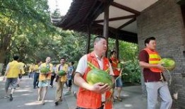 隆林吃瓜群众,吃瓜群众视角下的地方风情