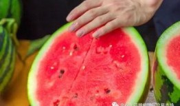 吃瓜学校南通,揭秘校园里的趣味生活点滴