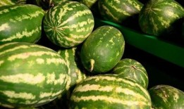 名关吃瓜事件,揭秘娱乐圈背后的真相与争议