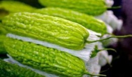 孕妇吃绿宝瓜好吗,孕妇食用绿宝瓜的益处与注意事项