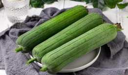 秋天吃瓜伤什么,揭秘秋天吃瓜可能伤害的部位