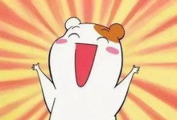 噶呜古拉表情吃瓜,揭秘网络热梗背后的趣味与思考