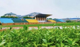 南陵中学吃瓜,揭秘校园里的热点话题