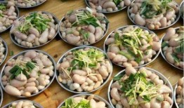 不吃席吃瓜,揭秘网络文化新趋势