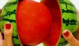 省广吃瓜,揭秘娱乐圈幕后故事