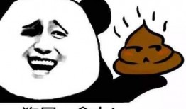 带你吃瓜奇葩创造,带你领略“吃瓜群众”的奇幻创意世界