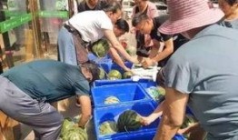 曲阳吃瓜事件学生,校园风波背后的真相与反思