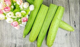 规则吃瓜,揭秘吃瓜群众的趣味人生