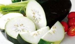 吃瓜华南,探寻美食与文化的独特魅力