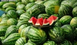 妗妗吃瓜14,揭秘娱乐圈背后的那些事儿