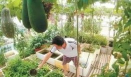 西厂楼顶吃瓜,见证历史瞬间，吃瓜群众的热议焦点