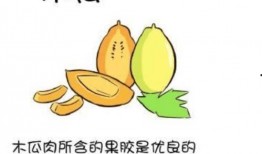 吃瓜q群2859439,一场网络社交的狂欢盛宴