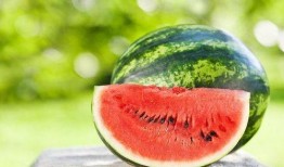 吃师瓜好吗,吃师瓜，品味独特风味