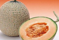 肛裂术后吃哈密瓜,美味与健康的完美结合