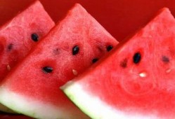 河南吃瓜死亡,悲剧背后的食品安全警示