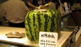 哈根达斯吃瓜,甜蜜瓜果的味蕾盛宴