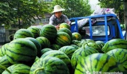 卖瓜的吃瓜女的叫什么