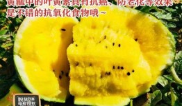 省广吃瓜,揭秘娱乐圈幕后故事