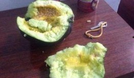 瓤瓜怎么吃,解锁健康美味新选择