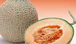适当吃哈密瓜,夏日消暑、营养丰富的健康之选