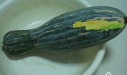 拉秧的瓜可以吃吗