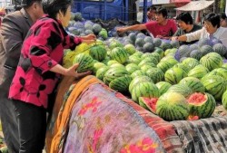 国内吃瓜国外吃瓜,揭秘国内外“吃瓜群众”的独特魅力