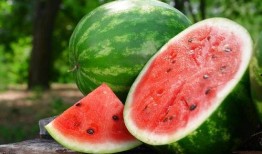 吃瓜不放盐,揭秘娱乐圈背后的“盐”与“味”