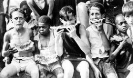 吃瓜群众时尚布料,吃瓜群众时尚布料引领潮流风尚