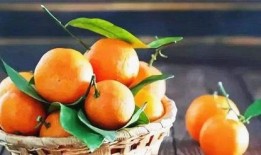 桔瓜宝宝可以吃吗,桔瓜宝宝适宜食用指南