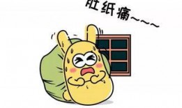 吃瓜群众与富人,揭秘社会阶层差异下的生活百态