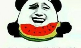 吃瓜群众天热,吃瓜群众热议清凉一夏