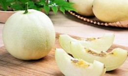 麻瓜吃甜瓜,一场甜蜜的味蕾邂逅