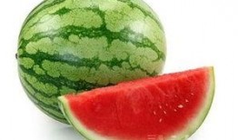 吃毛瓜有什么功效,养生保健的多重益处揭秘