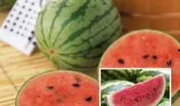 吃瓜吃着吃着喜欢,揭秘“瓜界”的诱惑与魅力