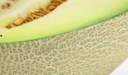 瓤瓜怎么吃,解锁健康美味新选择