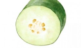 撇了瓜怎吃,瓜类食材的多彩吃法探索