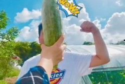 怎么劝朋友吃瓜,巧妙沟通的艺术