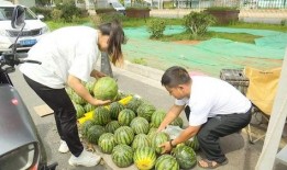 吃瓜都要钱,揭秘网络时代的新消费现象