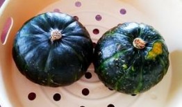 黑金贝贝瓜怎么吃,黑金贝贝瓜的多样食法探索