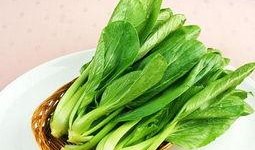 不吃青菜只吃瓜