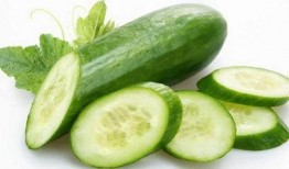 吃毛瓜有什么功效,养生保健的多重益处揭秘