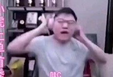 吃瓜群众都是明星吗