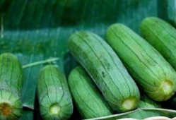 每日吃瓜有哪些,轻松掌握娱乐圈新鲜事