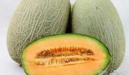 摔伤吃哈密瓜,哈密瓜助力康复之旅