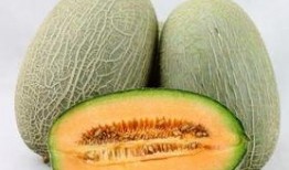 口疮吃哈密瓜,哈密瓜助力缓解口疮困扰