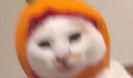 脚丫吃瓜表情包