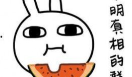 吃瓜吃到自己的心法,心法修炼之旅