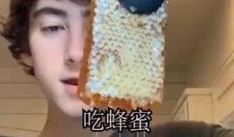 呆瓜哥吃蜂蜜,一场与蜂蜜的奇妙邂逅