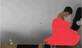 科大教室吃瓜,瓜田里的欢乐时光