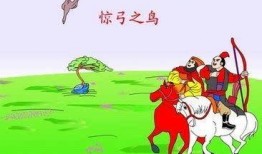 鸟吃瓜的成语,揭示成语背后的智慧与趣味